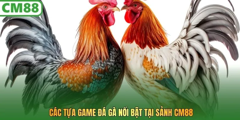 Các tựa game đá gà nổi bật tại sảnh CM88