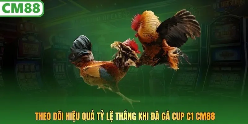 Theo dõi hiệu quả tỷ lệ thắng khi đá gà Cup C1 CM88